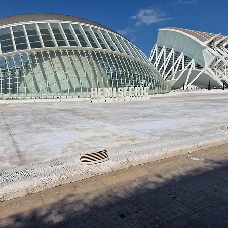 Caballito Del Mar Punta Prima (Alicante)