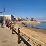 Caballito Del Mar