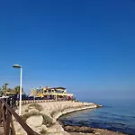 Caballito Del Mar *