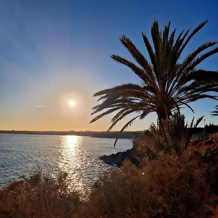 Caballito Del Mar Punta Prima (Alicante)